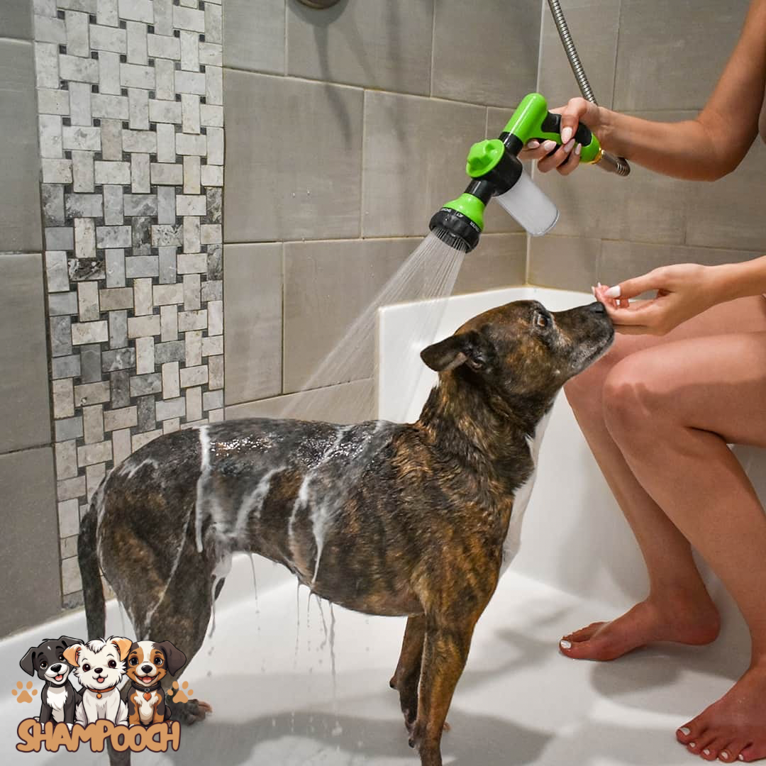 Shampooch