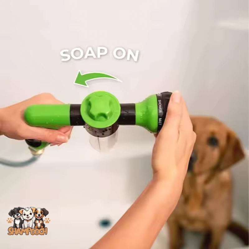 Shampooch